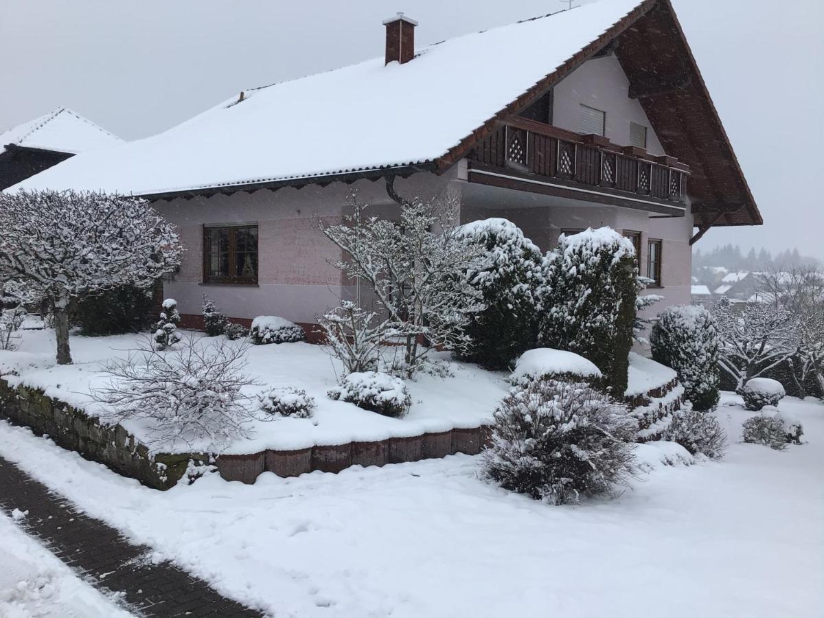 Ferienwohnung Zur Kartause Schollbrunn 外观 照片